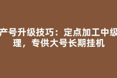 生产号升级技巧：定点加工中级料理，专供大号长期挂机