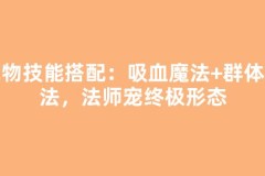 宠物技能搭配：吸血魔法+群体魔法，法师宠终极形态