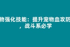 宠物强化技能：提升宠物血攻防敏，战斗系必学