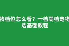 宠物档位怎么看？一档满档宠物挑选基础教程