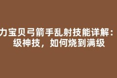 魔力宝贝弓箭手乱射技能详解：练级神技，如何烧到满级