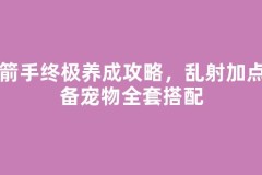 弓箭手终极养成攻略，乱射加点装备宠物全套搭配