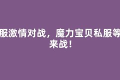 全服激情对战，魔力宝贝私服等你来战！