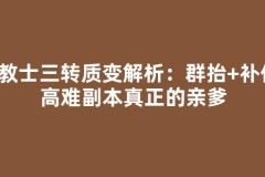 传教士三转质变解析：群抬+补伤，高难副本真正的亲爹