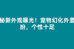 神秘新外观曝光！宠物幻化外显装扮，个性十足
