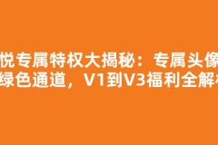 心悦专属特权大揭秘：专属头像框+绿色通道，V1到V3福利全解析