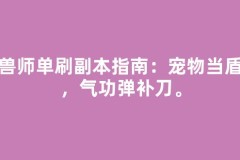 驯兽师单刷副本指南：宠物当盾牌，气功弹补刀。