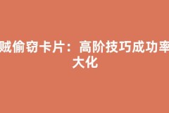 盗贼偷窃卡片：高阶技巧成功率最大化
