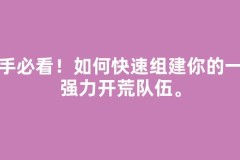 新手必看！如何快速组建你的第一支强力开荒队伍。