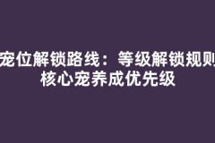 十宠位解锁路线：等级解锁规则与核心宠养成优先级