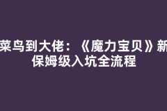 从菜鸟到大佬：《魔力宝贝》新手保姆级入坑全流程