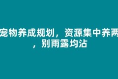 多宠物养成规划，资源集中养两只，别雨露均沾