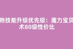 人物技能升级优先级：魔力宝贝秘术80级性价比