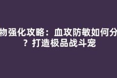 宠物强化攻略：血攻防敏如何分配？打造极品战斗宠