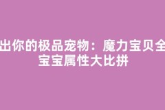 晒出你的极品宠物：魔力宝贝全服宝宝属性大比拼