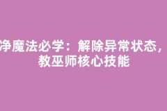 洁净魔法必学：解除异常状态，传教巫师核心技能