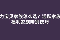 魔力宝贝家族怎么选？活跃家族与福利家族辨别技巧