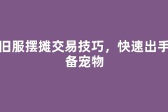 怀旧服摆摊交易技巧，快速出手装备宠物