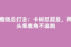 麋鹿绕后打法：卡树怼屁股，两斧头爆鹿角不追跑