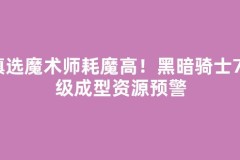 慎选魔术师耗魔高！黑暗骑士70级成型资源预警