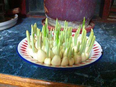 餐具修复小技巧，轻微破损不用扔​