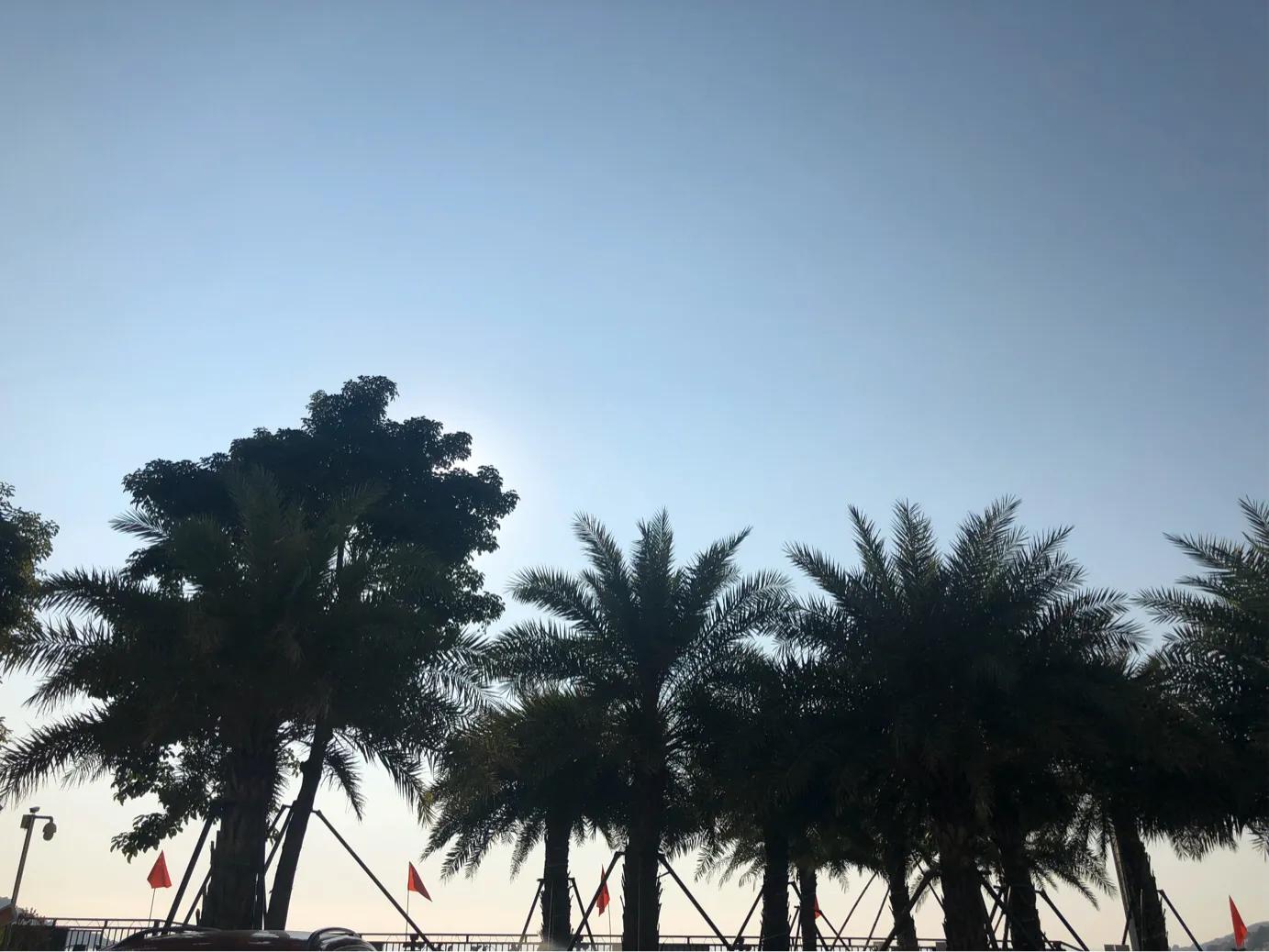 餐具上的细菌有多少?定期消毒很重要 餐具上的细菌有多少?定期消毒很重要